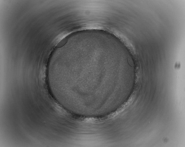 X0000101951169200808151246