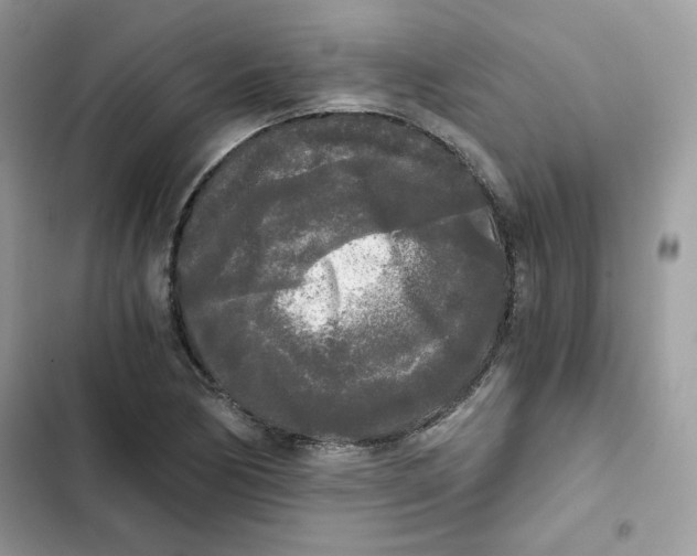 X0000101951170200808151246