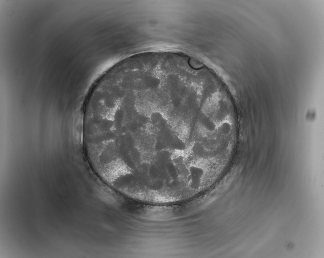 X0000101951171200808151246