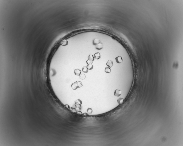 X0000101951172200808151246
