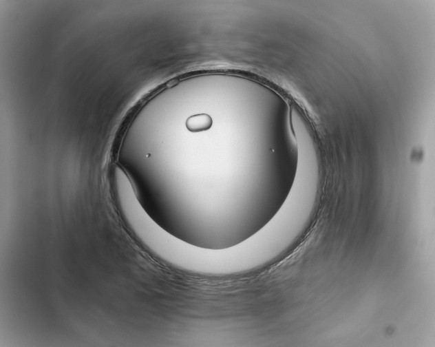 X0000101951173200808151246