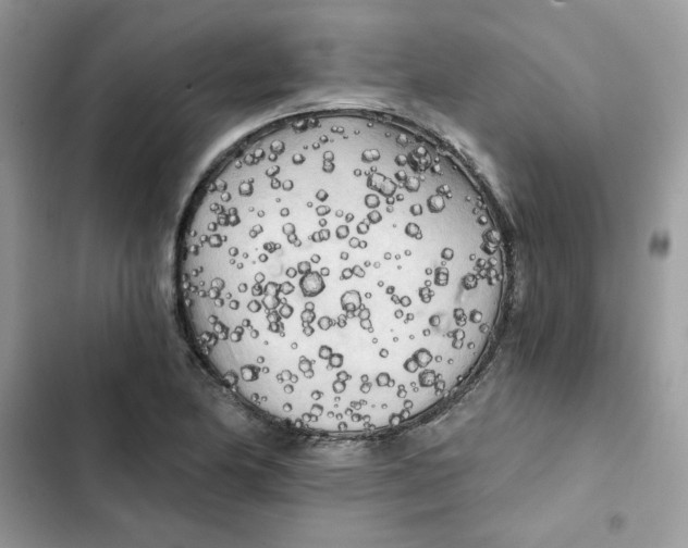 X0000101951174200808151246