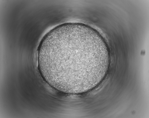 X0000101951175200808151246