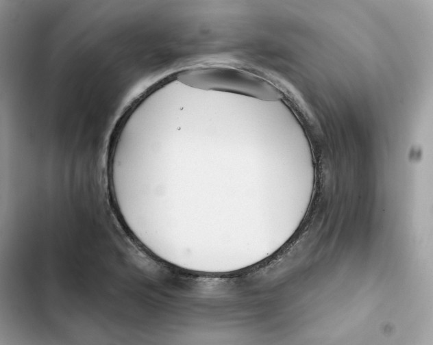 X0000101951176200808151246