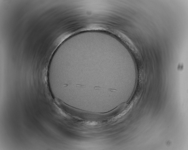 X0000101951177200808151246