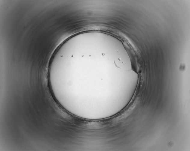 X0000101951178200808151246