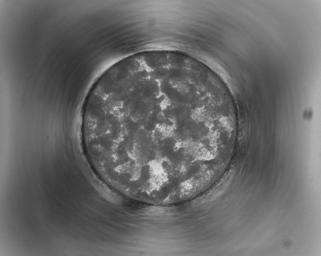 X0000101951179200808151246