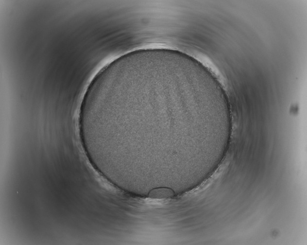 X0000101951181200808151246