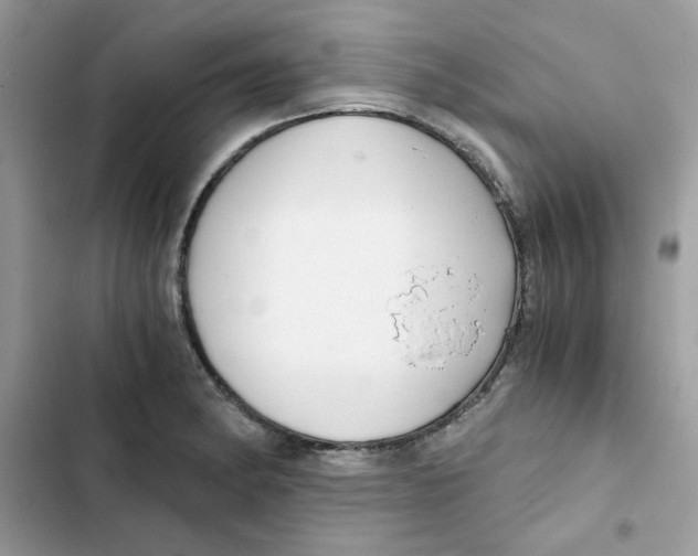 X0000101951182200808151246
