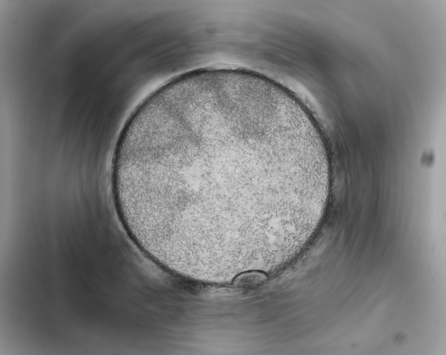 X0000101951183200808151246