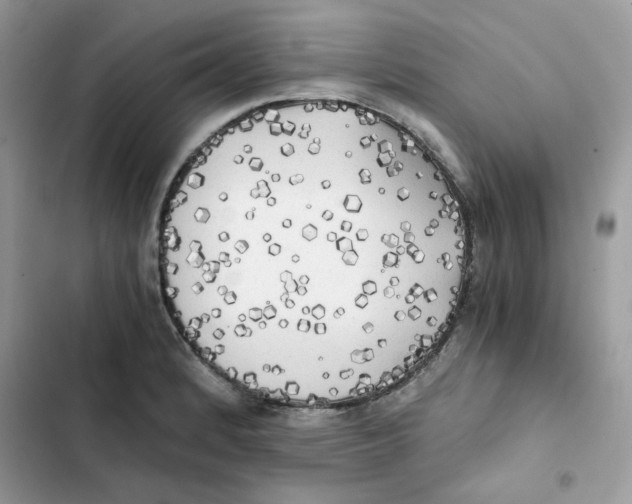 X0000101951184200808151246