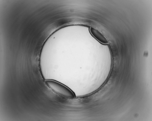 X0000101951185200808151246