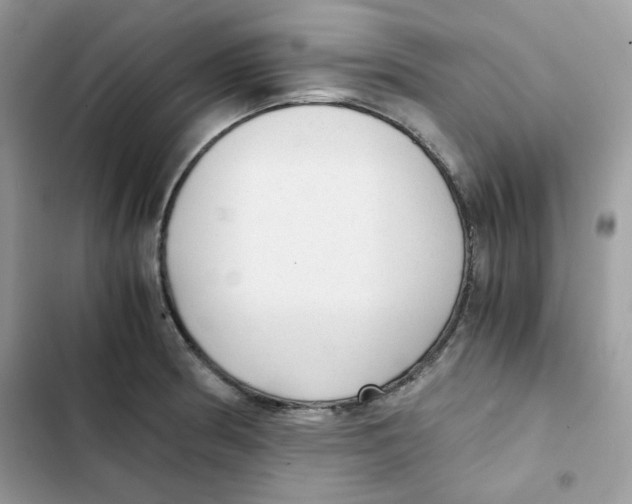 X0000101951186200808151246