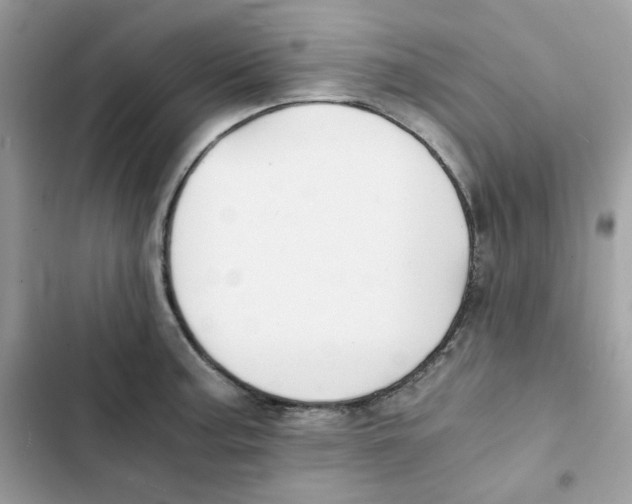 X0000101951187200808151246