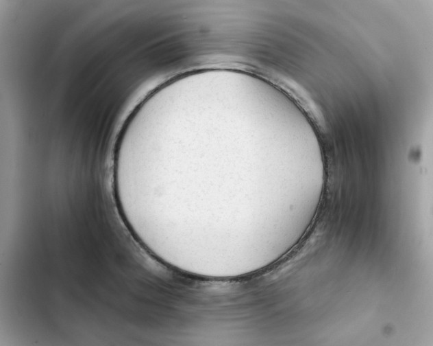 X0000101951188200808151246