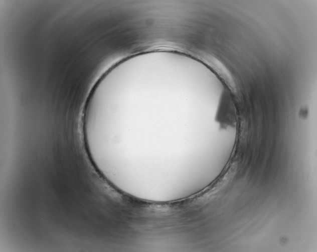X0000101951190200808151246