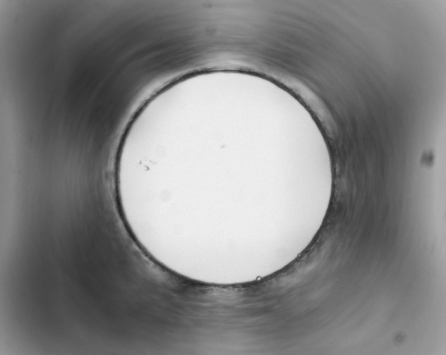 X0000101951191200808151246