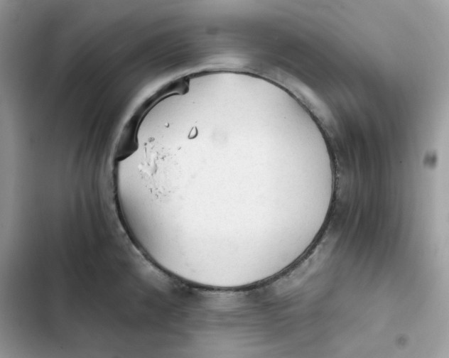 X0000101951192200808151246