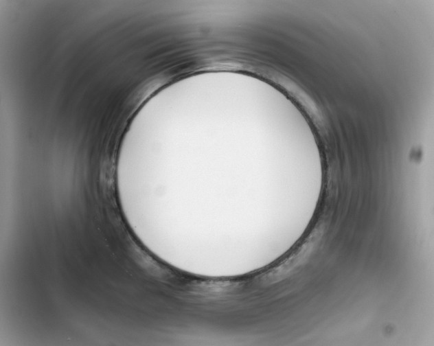 X0000101951193200808151246