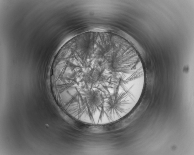 X0000101951194200808151246
