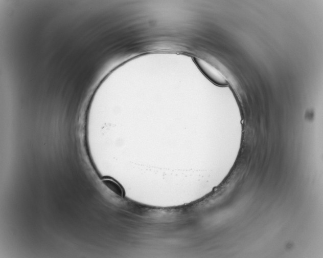 X0000101951195200808151246