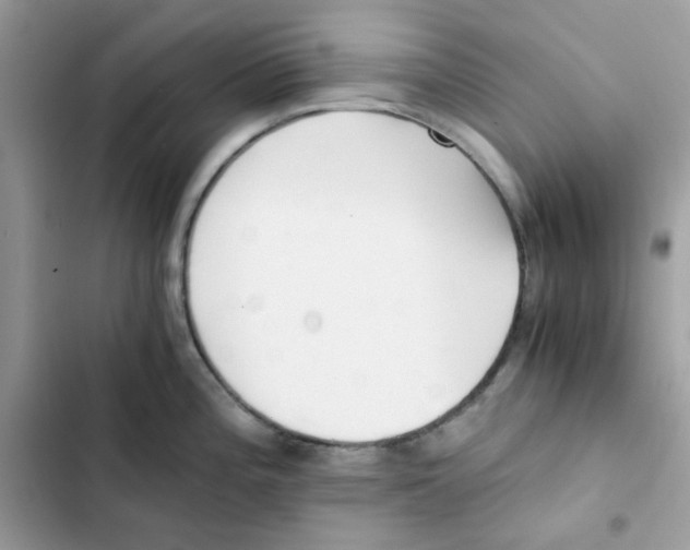X0000101951196200808151246