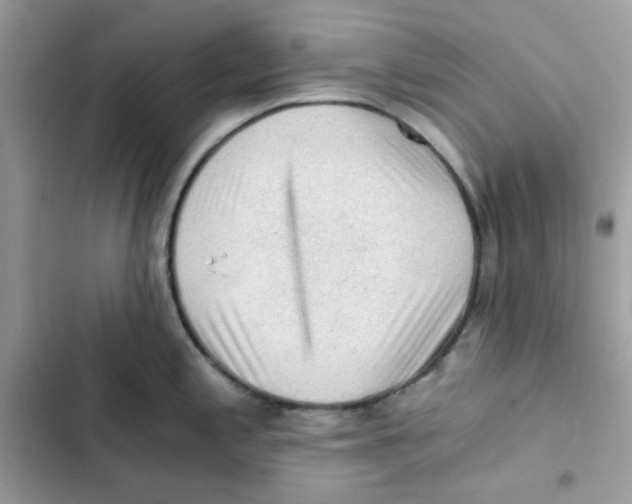 X0000101951197200808151245