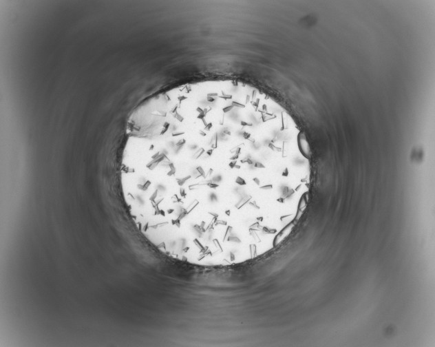 X0000101951201200808151245