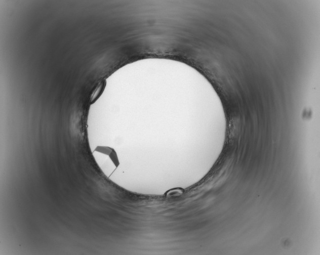 X0000101951202200808151245
