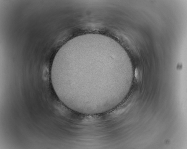 X0000101951203200808151245