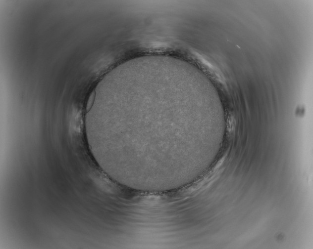 X0000101951204200808151245