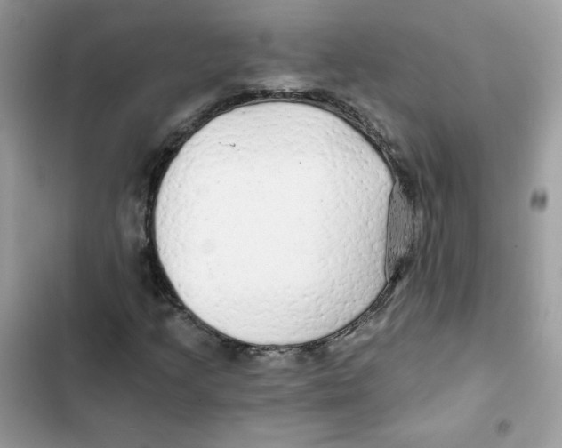 X0000101951205200808151245