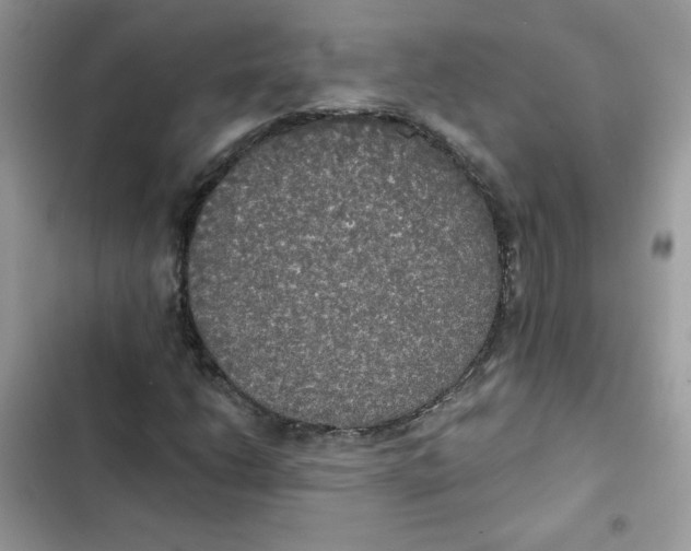 X0000101951206200808151245