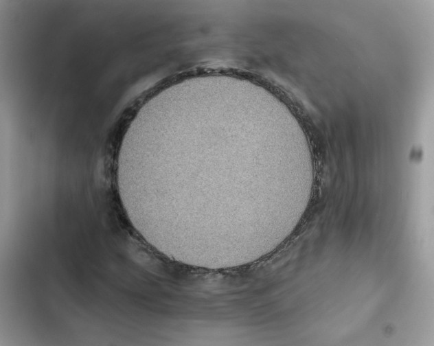 X0000101951207200808151245