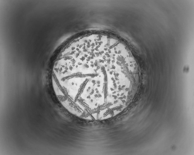 X0000101951208200808151245