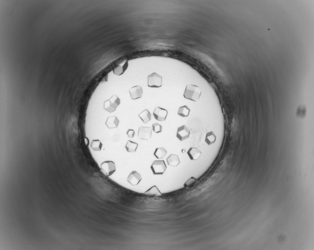 X0000101951209200808151245