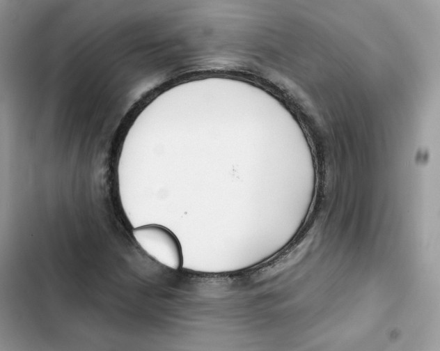 X0000101951210200808151245