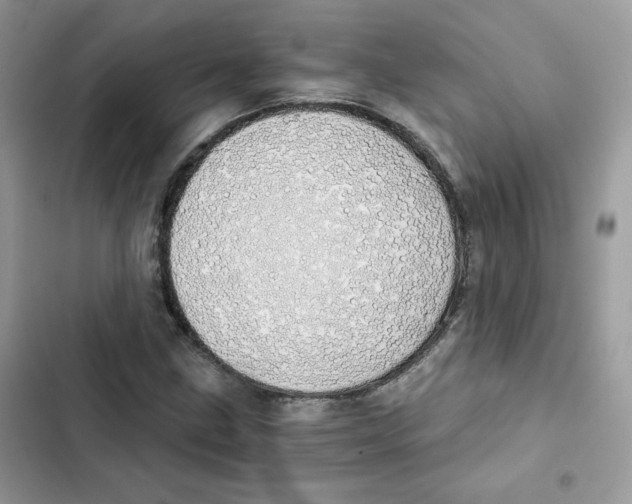 X0000101951211200808151245