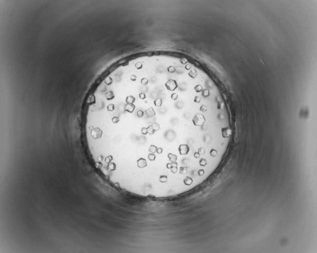 X0000101951212200808151245