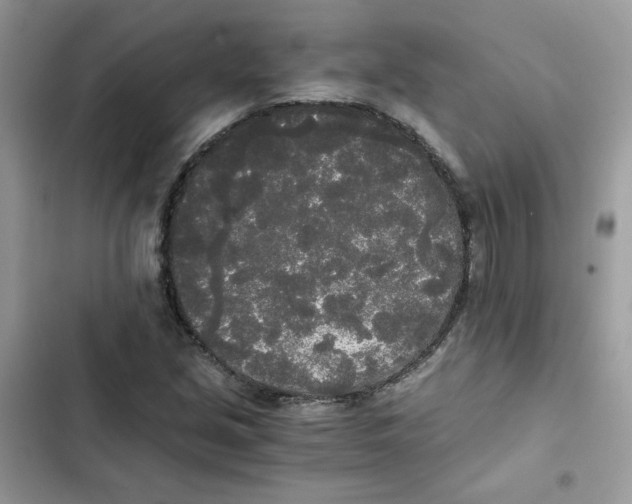 X0000101951213200808151245