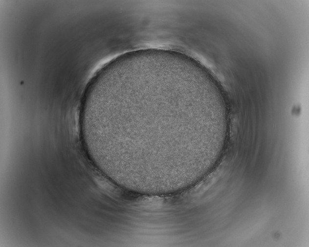 X0000101951214200808151245