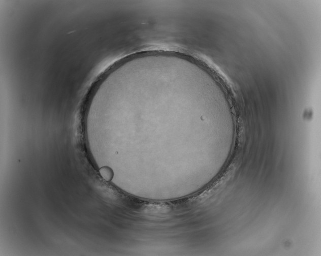 X0000101951215200808151245