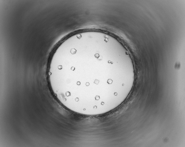 X0000101951216200808151245