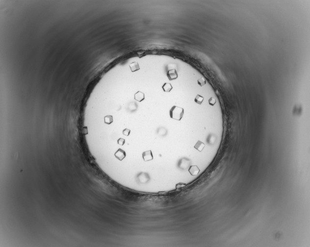 X0000101951217200808151245