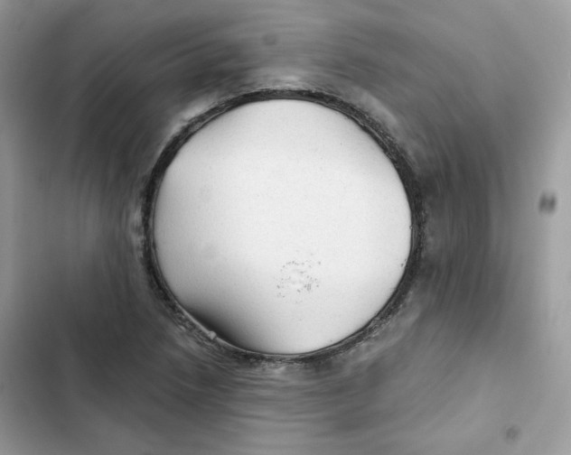 X0000101951218200808151245