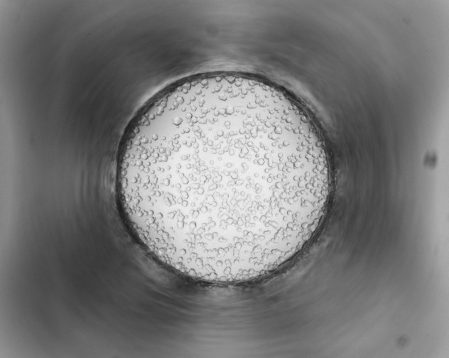 X0000101951220200808151245