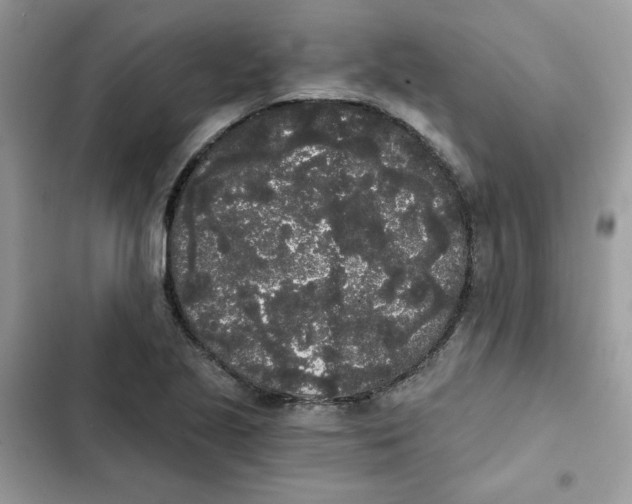 X0000101951221200808151245