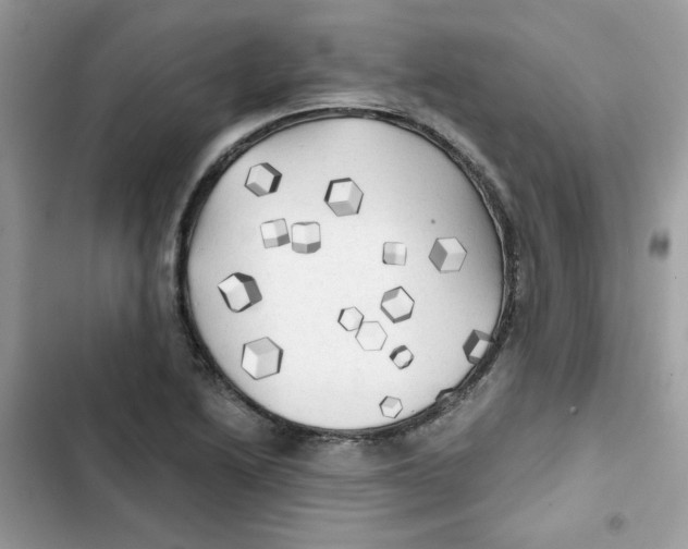 X0000101951222200808151245