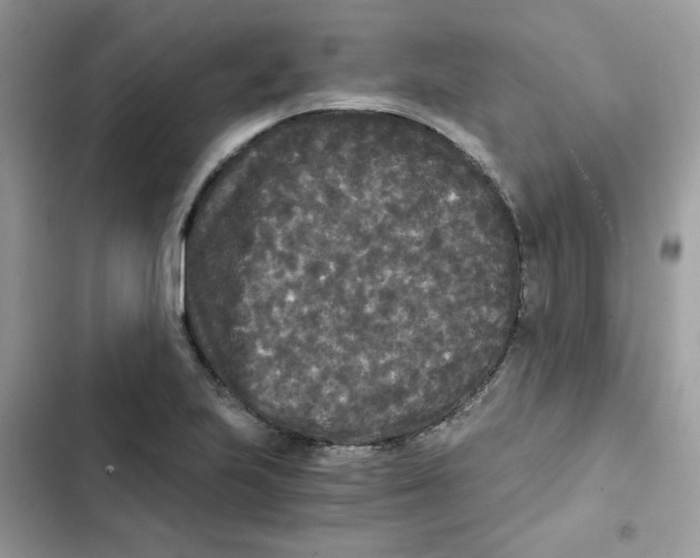 X0000101951223200808151245