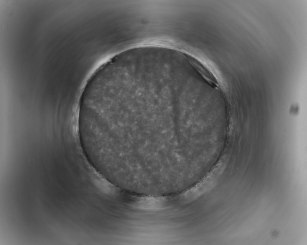 X0000101951224200808151245